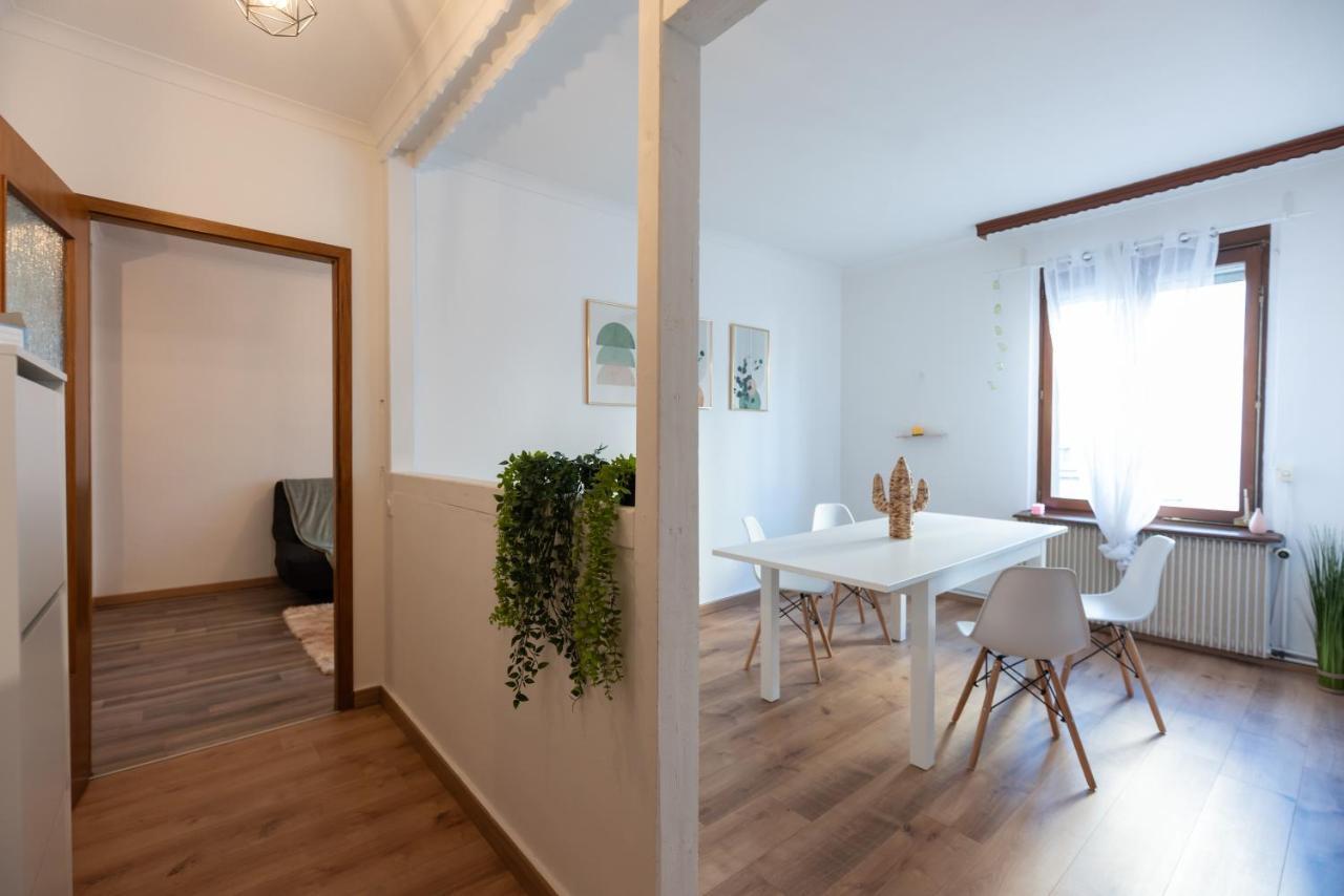Appartement Cosy De 80 M2 Мюлуз Екстер'єр фото